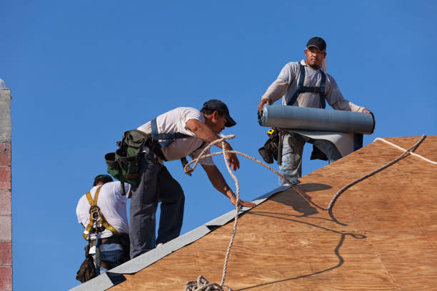 Best Emergency Roof Repair  in Seyur, MO