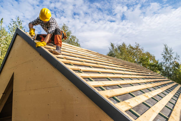 Best Roof Leak Repair  in Seyur, MO