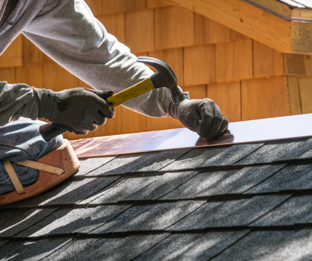 Best Roof Gutter Cleaning  in Seyur, MO